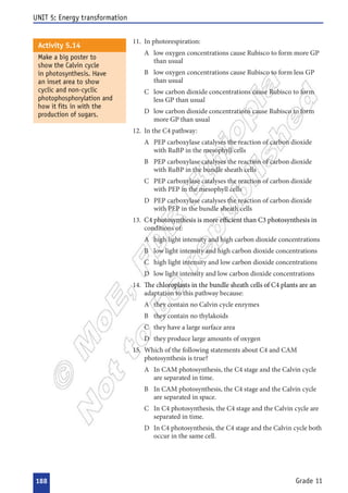  
 
  


  


  


  


 
  


  


  


  




  
  
  
  


  
  
  
  
 

  


   
 
  


  
 

 