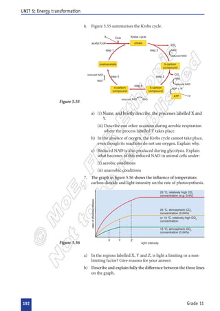  
 
  

 
 


  


  


 
 
 
 


 


























 







  










 