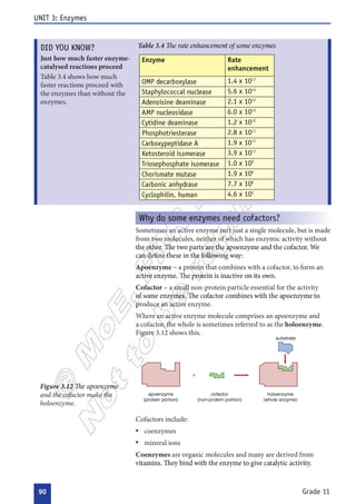  




















 























 