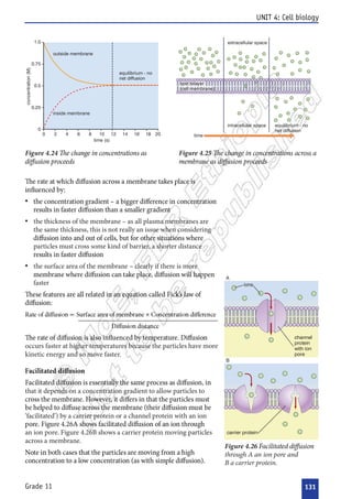 

 





 








 










          

















 