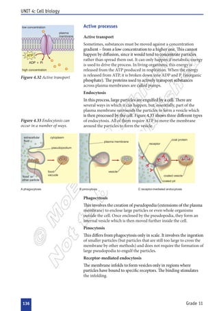  

































  














 