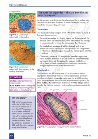  













































 

 