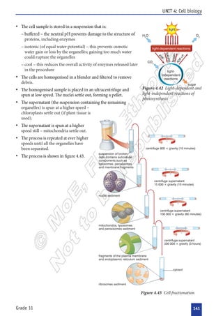 

 

 



 













 



























 