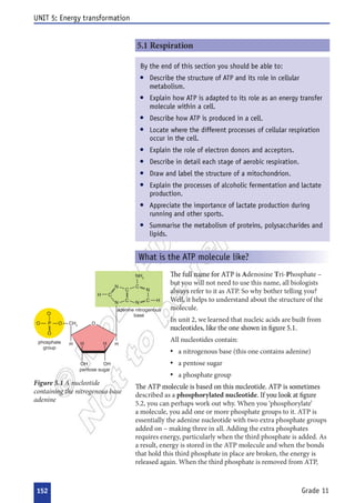  

 
 
 
 
 


 
 
 






















 
 







 
 






 

 





 