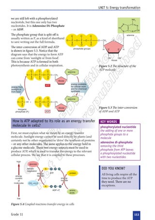 



 

 









 















































 
 






 
 
















 
















 

 






















 




 