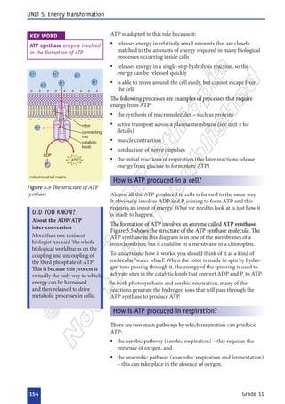  



























































        
       











 