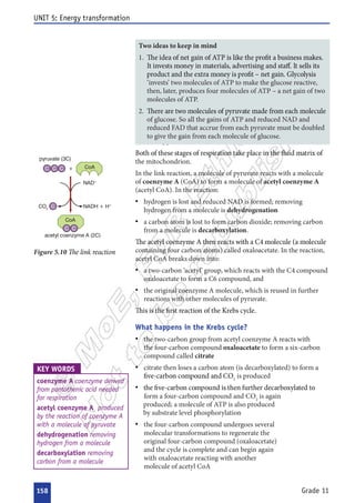  

























  



















   






 




 






 