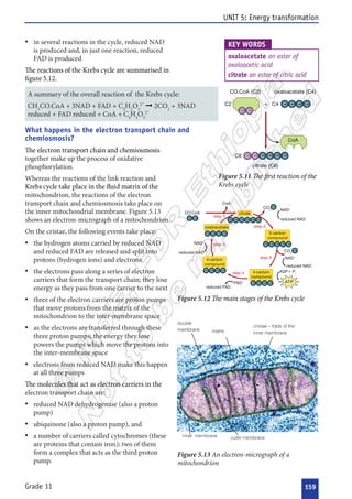 












































 


 

  


 

   
   
 
 

     
    
   


   
   
 





































 






 