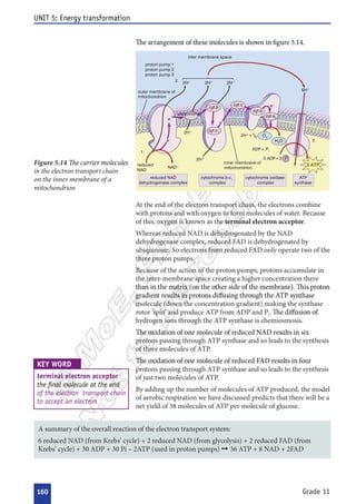  

















































 


























 
 