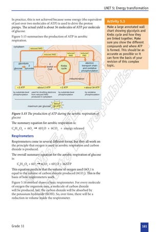 












 










 





























 


















 