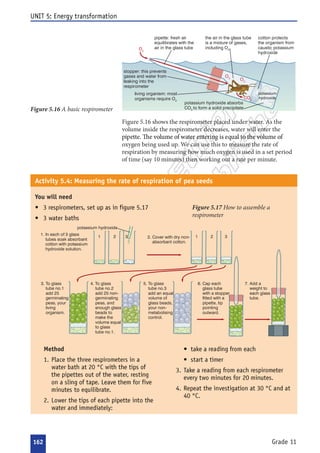  















































































     

 