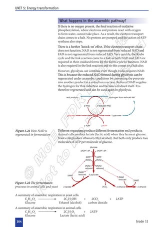  

























 

 
  


 
















 


   



   

 


   



   
 