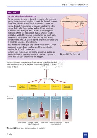 

















 



 