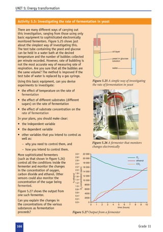  









































          







 