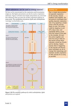 
































  







  

 