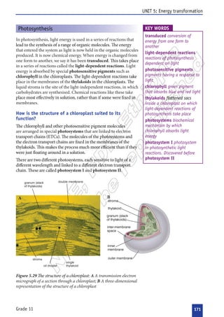 

 



























































 