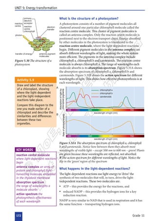  





























 









   
   






















 