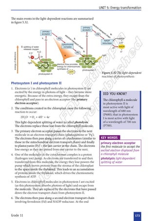 









 







  
 


 



 





 


























































 