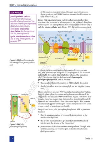  

























































 











 






















 