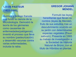 LOUIS PASTEUR 
(1822-1895), 
Químico y biólogo francés 
que fundó la ciencia de la 
Microbiología. Demostró la 
teoría de los gérmenes 
como causantes de 
enfermedades(patógenos), 
inventó el proceso que lleva 
su nombre (pasteurización) 
y desarrolló vacunas contra 
varias enfermedades, 
incluida la rabia. 
GREGOR JOHANN 
MENDEL. 
Formuló las leyes 
hereditarias que llevan su 
nombre (leyes de Mendel), 
fruto de sus estudios tras un 
descubrimiento ocurrido en 
su jardín con determinadas 
especies vegetales (Pisun 
sativum). Presenta en 1865 
su trabajo de investigación a 
la Sociedad de Historia 
Natural de Brünn, con el 
título de Híbridos en plantas. 
 