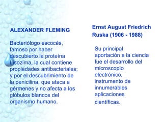 ALEXANDER FLEMING 
Bacteriólogo escocés, 
famoso por haber 
descubierto la proteína 
Lisozima, la cual contiene 
propiedades antibacteriales; 
y por el descubrimiento de 
la penicilina, que ataca a 
gérmenes y no afecta a los 
glóbulos blancos del 
organismo humano. 
Ernst August Friedrich 
Ruska (1906 - 1988) 
Su principal 
aportación a la ciencia 
fue el desarrollo del 
microscopio 
electrónico, 
instrumento de 
innumerables 
aplicaciones 
científicas. 
 