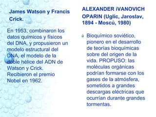 James Watson y Francis 
Crick. 
En 1953, combinaron los 
datos químicos y físicos 
del DNA, y propusieron un 
modelo estructural del 
DNA, el modelo de la 
doble hélice del ADN de 
Watson y Crick. 
Recibieron el premio 
Nobel en 1962. 
ALEXANDER iVANOVICH 
OPARIN (Uglic, Jaroslav, 
1894 - Moscú, 1980) 
Bioquímico soviético, 
pionero en el desarrollo 
de teorías bioquímicas 
sobre del origen de la 
vida. PROPUSO: las 
moléculas orgánicas 
podrían formarse con los 
gases de la atmósfera, 
sometidos a grandes 
descargas eléctricas que 
ocurrían durante grandes 
tormentas. 
 