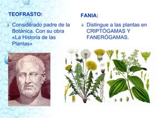 TEOFRASTO: 
Considerado padre de la 
Botánica. Con su obra 
«La Historia de las 
Plantas» 
FANIA: 
Distingue a las plantas en 
CRIPTÓGAMAS Y 
FANERÓGAMAS. 
 