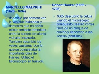 MARCELLO MALPIGHI 
(1628 - 1694) 
describió por primera vez 
la vesícula pulmonar y 
demostró que no podía 
existir contacto inmediato 
entre la sangre circulante 
y el aire inspirado, 
También describió los 
vasos capilares, con lo 
que se completaba la 
importante obra de 
Harvey. Utilizo el 
Microscopio en huevos. 
Robert Hooke: (1635 - 
1703) 
1665 descubrió la célula 
usando el microscopio 
compuesto, realizó cortes 
finos de un bloque de 
corcho y denominó a las 
«celis» (celdillas) 
 