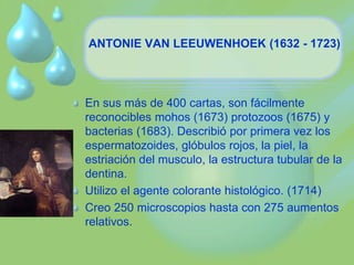 ANTONIE VAN LEEUWENHOEK (1632 - 1723) 
En sus más de 400 cartas, son fácilmente 
reconocibles mohos (1673) protozoos (1675) y 
bacterias (1683). Describió por primera vez los 
espermatozoides, glóbulos rojos, la piel, la 
estriación del musculo, la estructura tubular de la 
dentina. 
Utilizo el agente colorante histológico. (1714) 
Creo 250 microscopios hasta con 275 aumentos 
relativos. 
 
