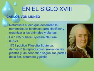 EN EL SIGLO XVIII 
CARLOS VON LINNEO 
Naturalista sueco que desarrollo la 
nomenclatura binómica para clasificar y 
organizar a los animales y plantas. 
En 1735 publica Systema Naturae. 
(RAV) 
1751 publicó Filosofía Botánica, 
demostró la reproducción sexual de las 
plantas y las denomino según sus partes 
de la flor, estambre y pistilo. 
 