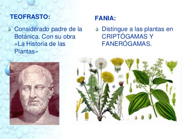 Historia de la Biología