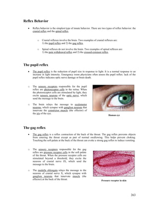 Reflex Behavior Examples Biology hl (drugs pg. 287) | PDF | Eye and Vision Conditions | Diseases ...