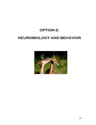 OPTION E:

NEUROBIOLOGY AND BEHAVIOR




                        261
 