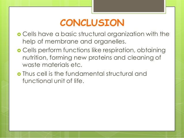Biology holiday homework
