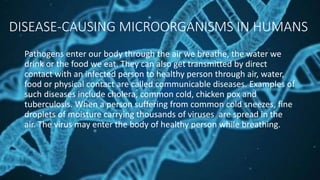 DISEASE-CAUSING MICROORGANISMS IN HUMANS
Pathogens enter our body through the air we breathe, the water we
drink or the food we eat. They can also get transmitted by direct
contact with an infected person to healthy person through air, water,
food or physical contact are called communicable diseases. Examples of
such diseases include cholera, common cold, chicken pox and
tuberculosis. When a person suffering from common cold sneezes, fine
droplets of moisture carrying thousands of viruses are spread in the
air. The virus may enter the body of healthy person while breathing.
 