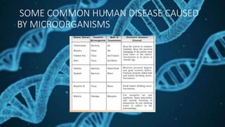SOME COMMON HUMAN DISEASE CAUSED
BY MICROORGANISMS
 