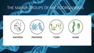THE MAJOR GROUPS OF MICROORGANISMS
 