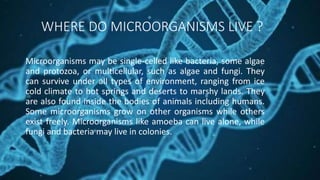 WHERE DO MICROORGANISMS LIVE ?
Microorganisms may be single-celled like bacteria, some algae
and protozoa, or multicellular, such as algae and fungi. They
can survive under all types of environment, ranging from ice
cold climate to hot springs and deserts to marshy lands. They
are also found inside the bodies of animals including humans.
Some microorganisms grow on other organisms while others
exist freely. Microorganisms like amoeba can live alone, while
fungi and bacteria may live in colonies.
 