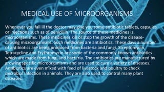 MEDICAL USE OF MICROORGANISMS
Whenever you fall ill the doctor may give you some antibiotic tablets, capsules
or injections such as of penicillin. The source of these medicines is
microorganisms. These medicines kill or stop the growth of the disease-
causing microorganisms. Such medicines are antibiotics. These days a number
of antibiotics are being produced from bacteria and fungi. Streptomycin,
Tetracycline and Erythromycin are some of the commonly known antibiotics
which are made from fungi and bacteria. The antibiotics are manufactured by
growing specific microorganisms and are used to cure a variety of diseases.
Antibiotics are even mixed with feed of livestock and poultry to check
microbial infection in animals. They are also used to control many plant
diseases.
 