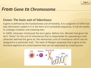 Choromosomal Theory of Inheritance in Homo Sapiens | PPTX