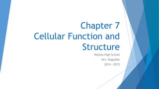 Chapter 7 
Cellular Function and 
Structure 
Wasilla High School 
Mrs. Ragsdale 
2014 - 2015 
 