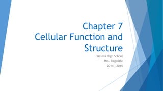 Biology chapter 7 | PPTX
