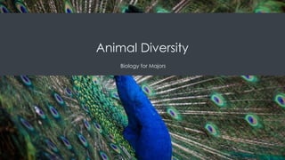 Comprehensive Overview of Animal Diversity and Evolutionary Biology | PPTX