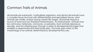Comprehensive Overview of Animal Diversity and Evolutionary Biology | PPTX