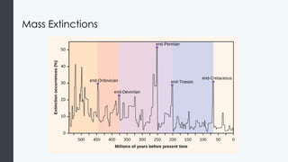 Comprehensive Overview of Animal Diversity and Evolutionary Biology | PPTX