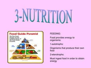 3-NUTRITION FEEDING: Food provides energy to organisms: 1-autotrophs: Organisms that produce their own food 2-eterotrophs:...