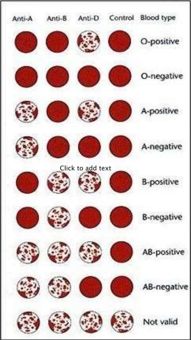 Blood grouping | PPTX