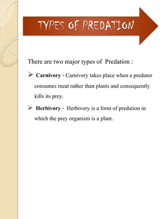 Predation Type BIOLOGY INVESTIGATORY PROJECT.pdf