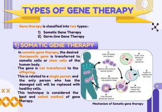 TYPES OF GENE THERAPY
Gene therapy is classified into two types:-
1) Somatic Gene Therapy
2) Germ-line Gene Therapy
1) SOMATIC GENE THERAPY
In somatic gene therapy, the desired
therapeutic gene is transferred to
somatic cells or stem cells of the
human body.
The gene is not transferred to the
offspring.
This is related to a single person and
the only person who has the
damaged cell will be replaced with
healthy cells.
5
This technique is considered the
best and safest method of gene
therapy.
Mechanism of Somatic gene therapy
 