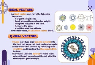 IDEAL VECTORS
An ideal vector must have the following
features:-
Target the right cells.
Small size and low molecular weight.
Integrate the gene in the cells.
Activate the gene.
Avoid harmful side effects
In the real world, no universal vector exists.
1) VIRAL VECTORS
Viruses introduce their genetic material into
the host cell as part of their replication cycle.
These are used as vectors by removing their
viral DNA and inserting the therapeutic DNA
in them.
14
The viruses used are altered to make them
safe, although some risks still exist with this
technique of gene therapy.
 